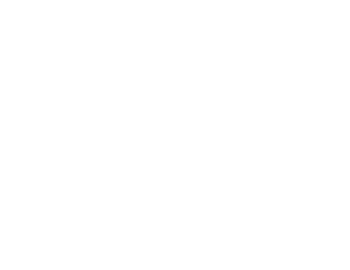Maxime Niay — Consultant Google Ads